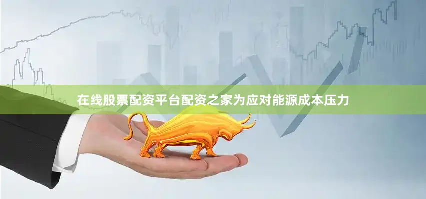 在线股票配资平台配资之家　　为应对能源成本压力