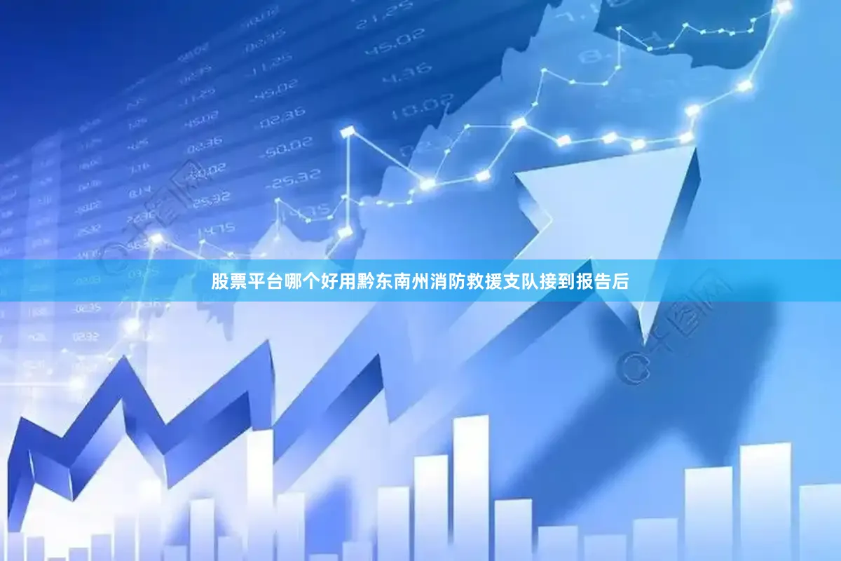 股票平台哪个好用黔东南州消防救援支队接到报告后