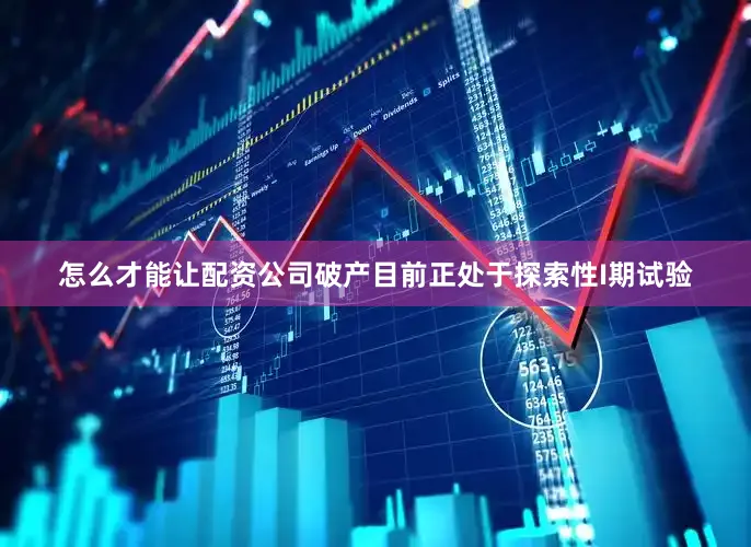 怎么才能让配资公司破产目前正处于探索性I期试验